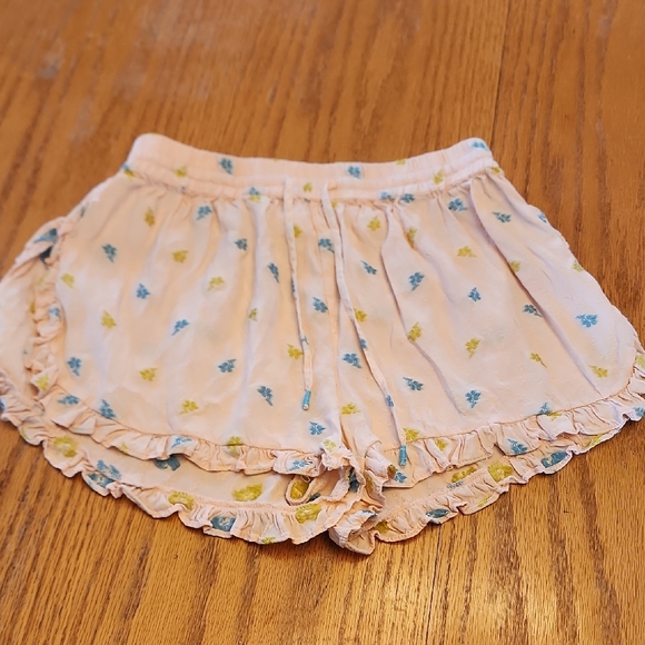 Anthropologie Peach Floral Shorts - Picture 4 of 14
